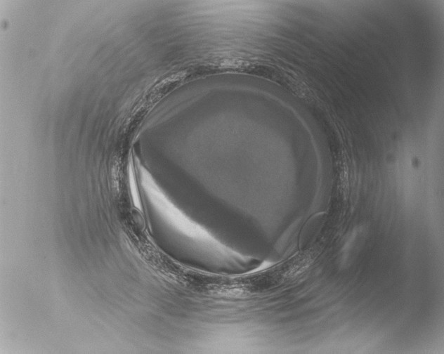 X0000051260643200507152217