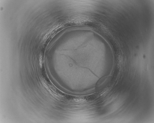 X0000051260644200507152217