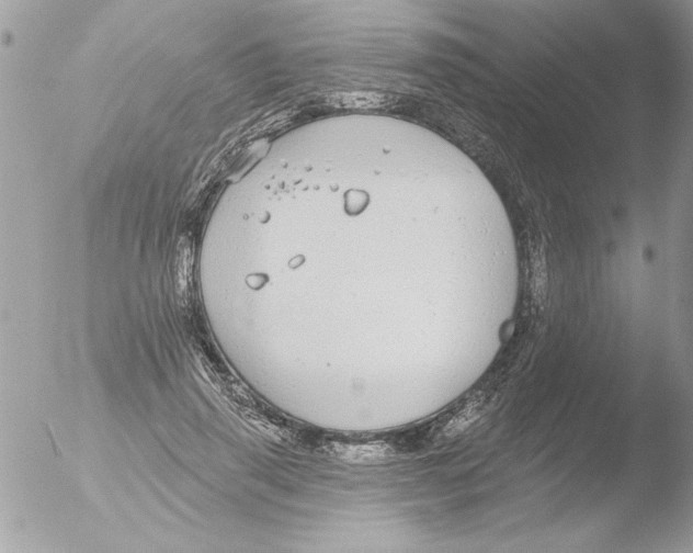 X0000051260645200507152217