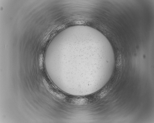 X0000051260646200507152217