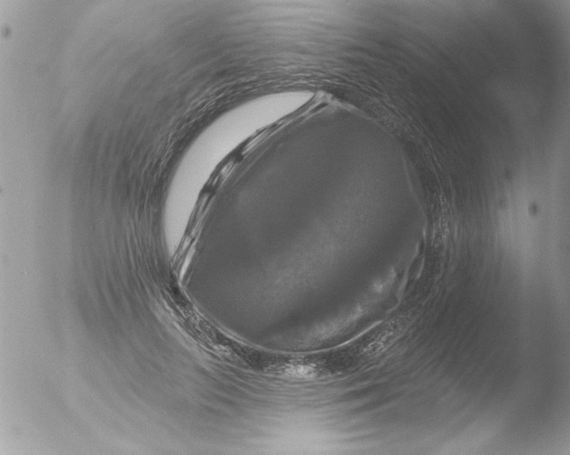 X0000051260647200507152217