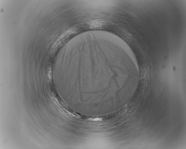 X0000051260648200507152217