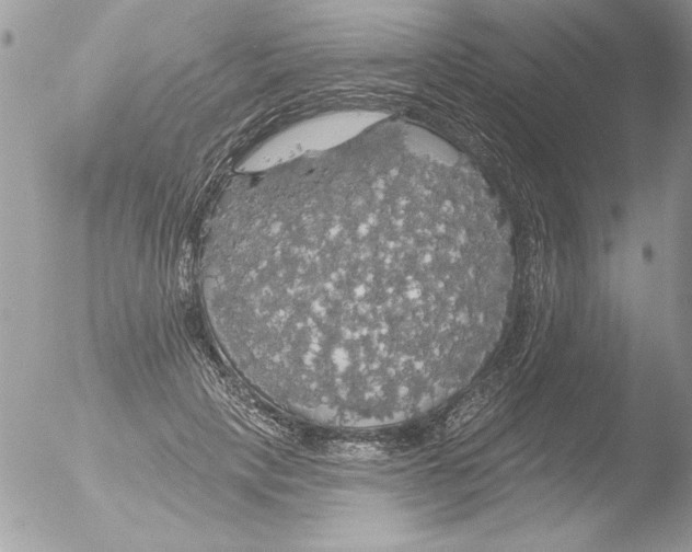 X0000051260649200507152217