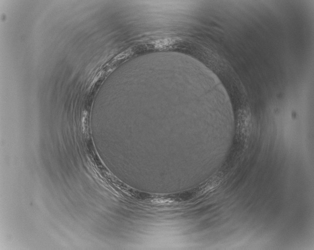 X0000051260650200507152217