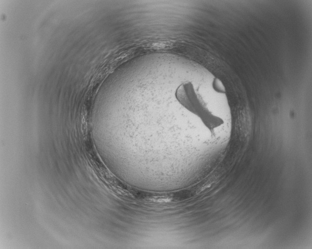 X0000051260651200507152217