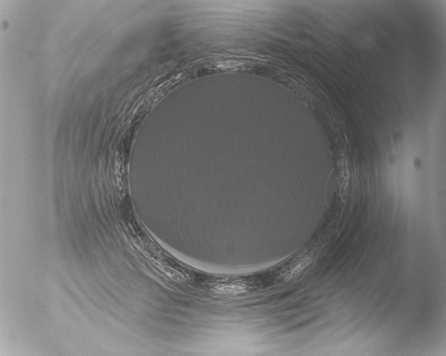 X0000051260653200507152217