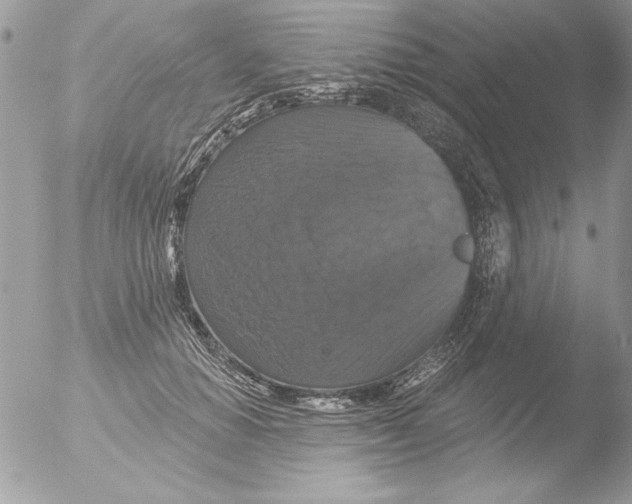 X0000051260654200507152217