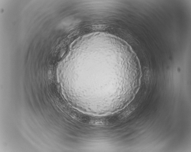 X0000051260655200507152217