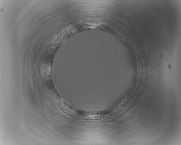 X0000051260657200507152217