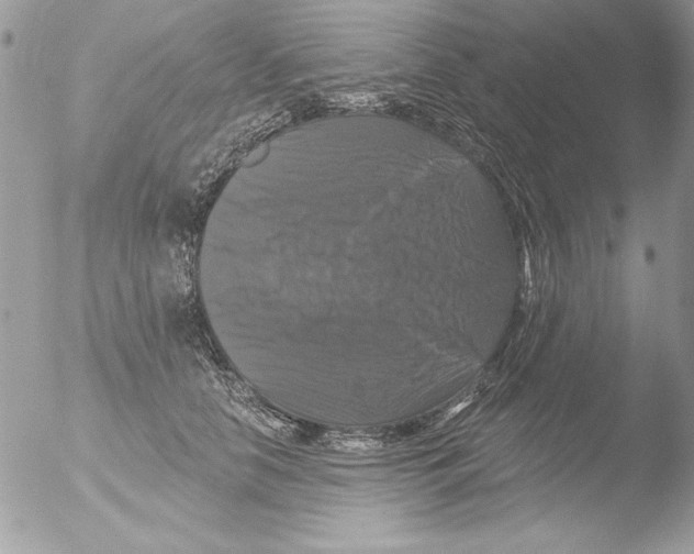 X0000051260658200507152217