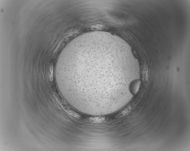 X0000051260660200507152217