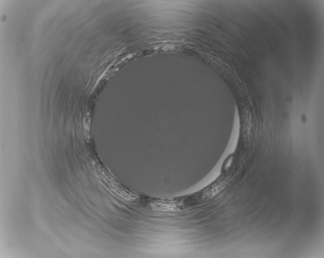 X0000051260661200507152217