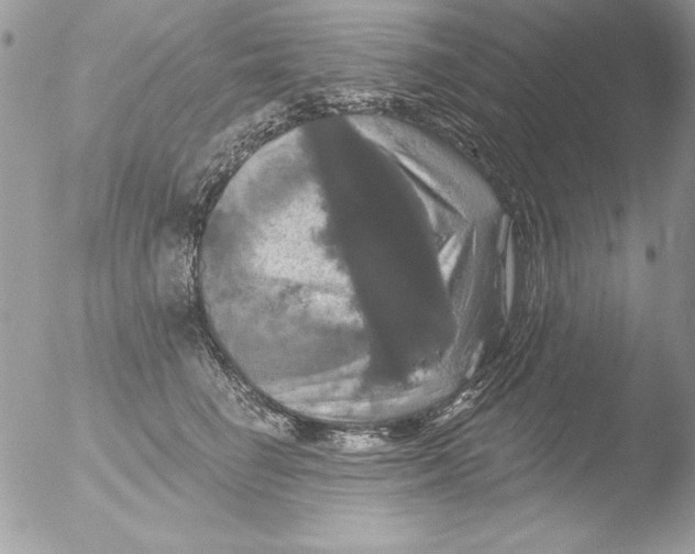 X0000051260662200507152217