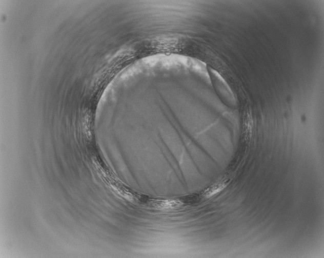 X0000051260663200507152217