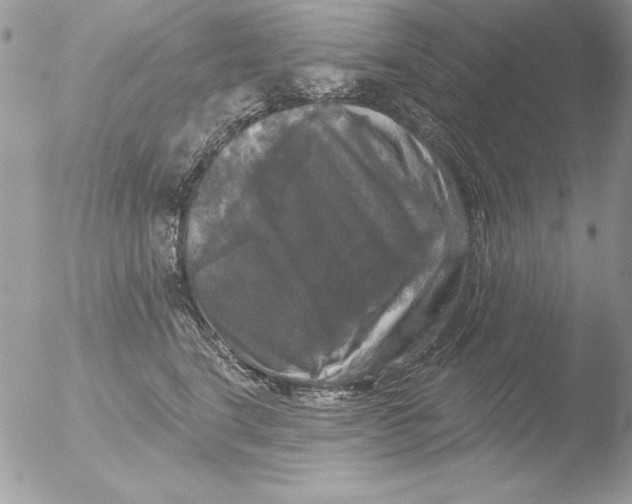 X0000051260664200507152217