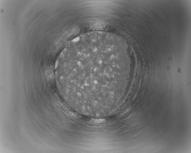 X0000051260665200507152217