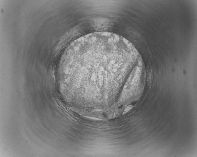 X0000051260666200507152217