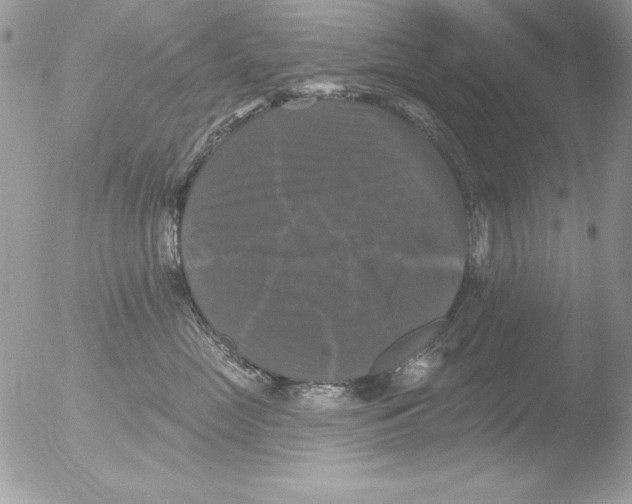 X0000051260669200507152217