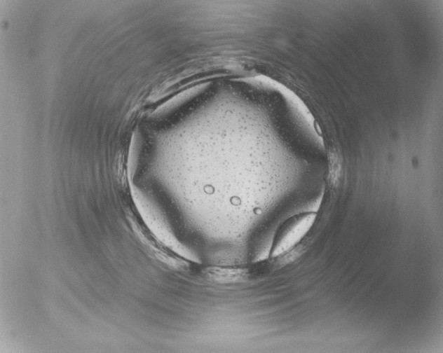 X0000051260670200507152217