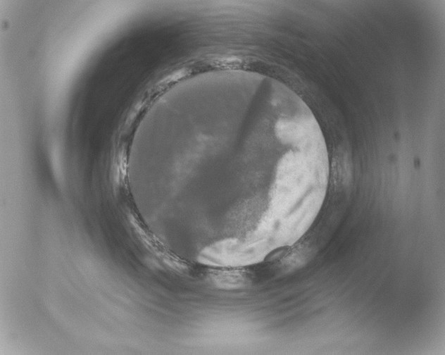 X0000051260671200507152217