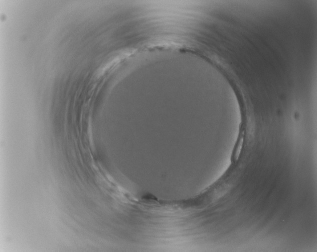 X0000051260673200507152216