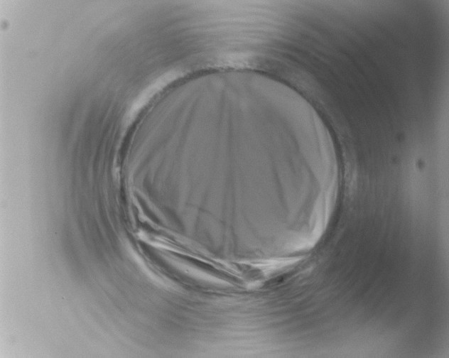 X0000051260674200507152216