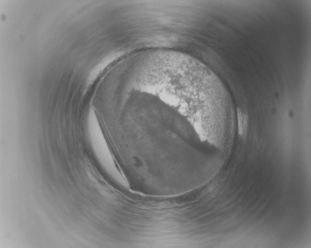 X0000051260675200507152216