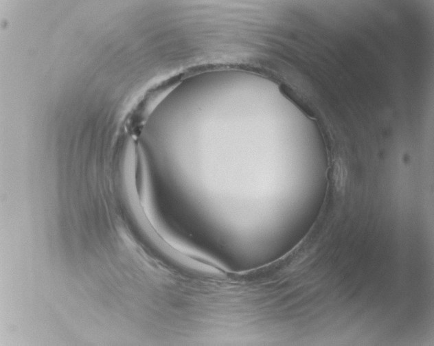 X0000051260676200507152216