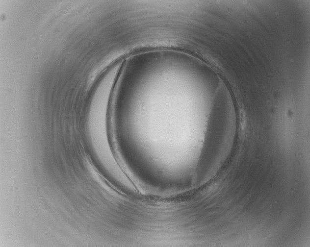 X0000051260677200507152216