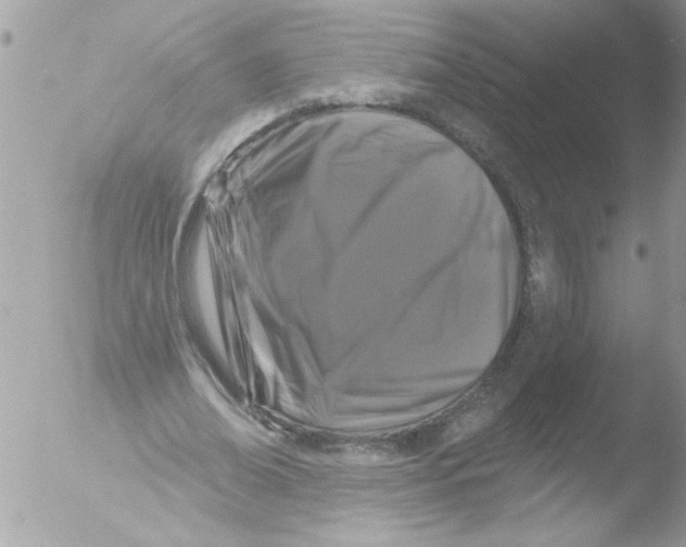 X0000051260678200507152216