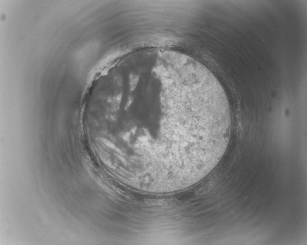 X0000051260679200507152216