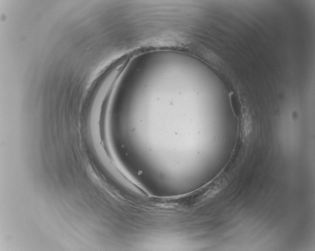 X0000051260680200507152216