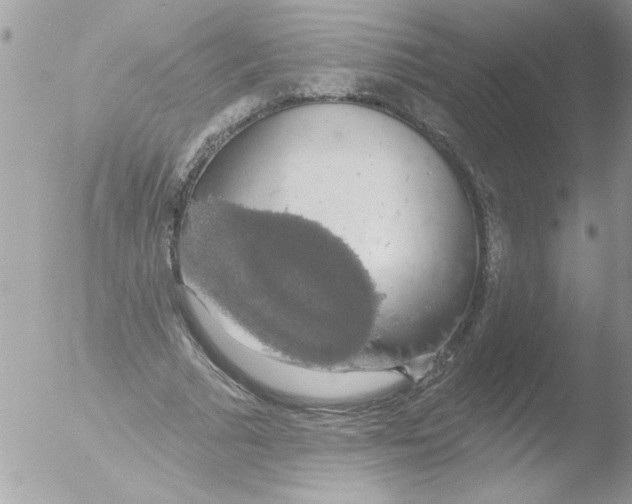 X0000051260681200507152216