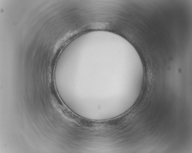 X0000051260682200507152216