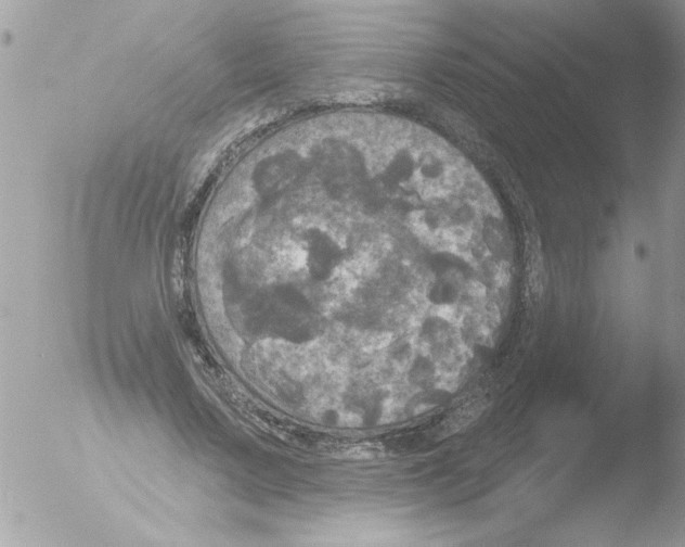 X0000051260683200507152216