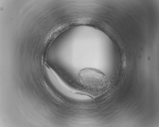 X0000051260685200507152216