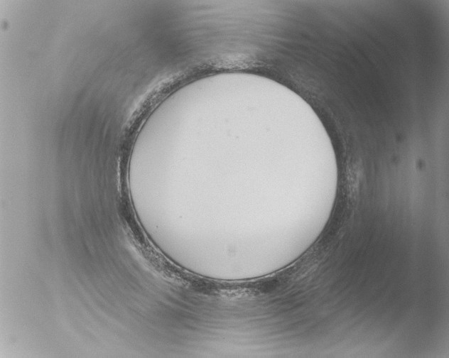 X0000051260686200507152216