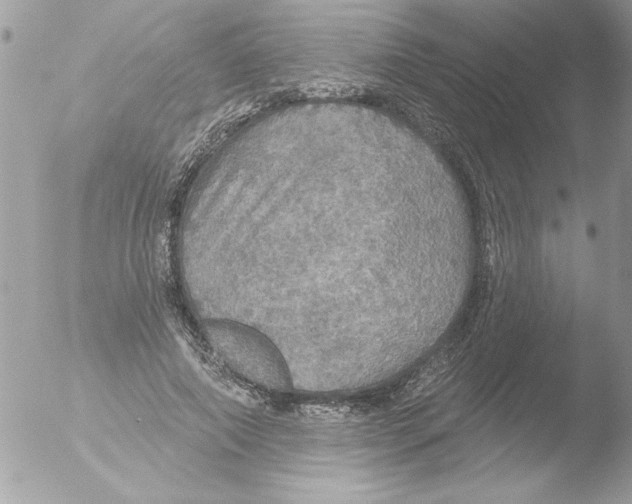 X0000051260690200507152216