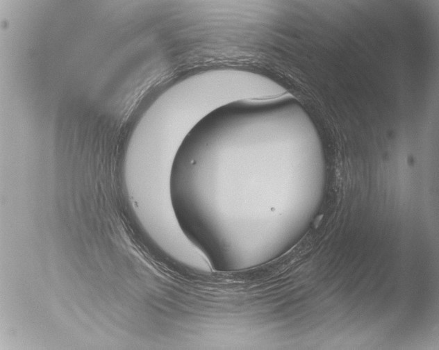 X0000051260691200507152216