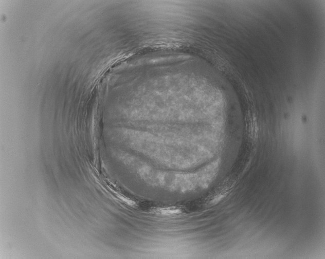 X0000051260692200507152216