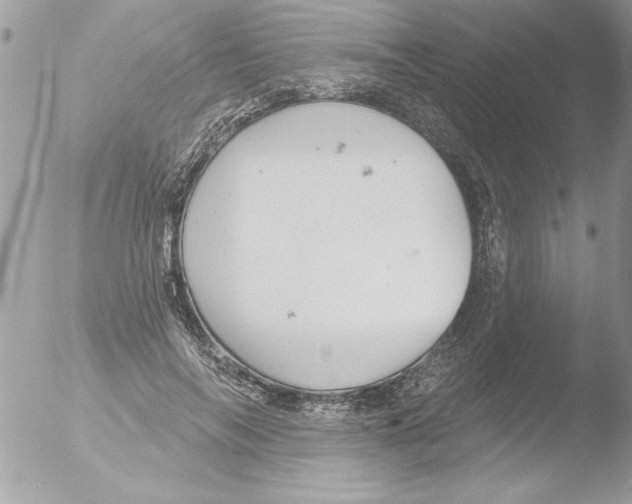 X0000051260694200507152216