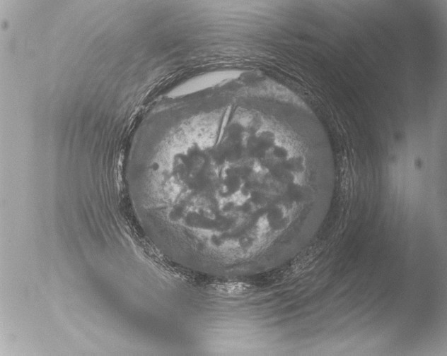 X0000051260695200507152216