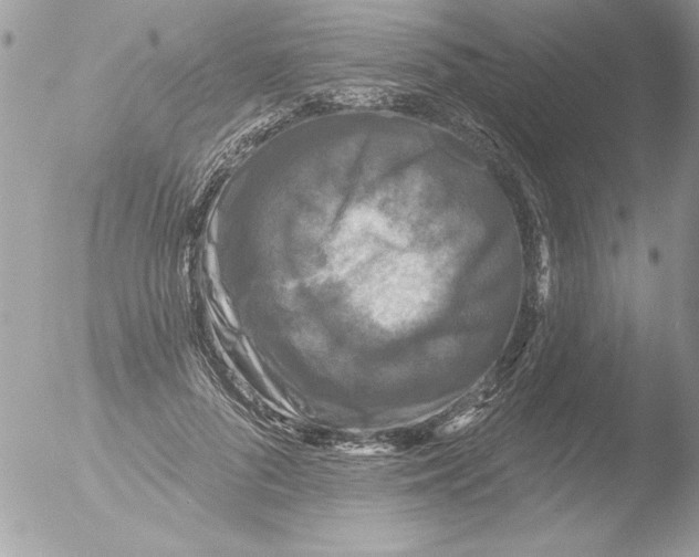 X0000051260696200507152216