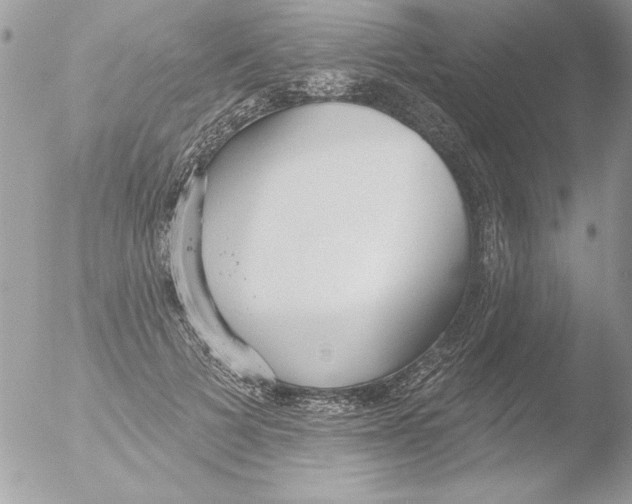 X0000051260697200507152216