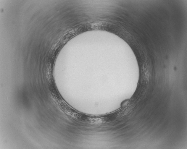 X0000051260698200507152216