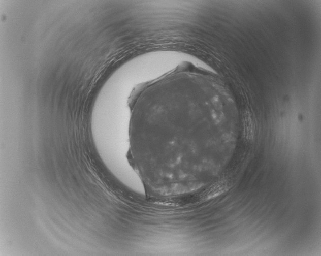 X0000051260699200507152216