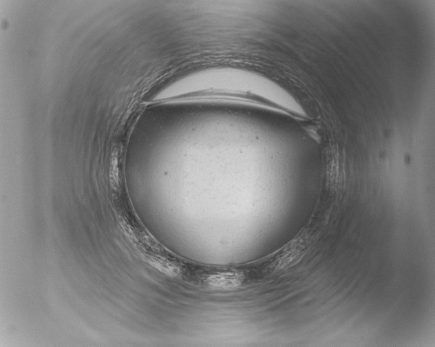 X0000051260700200507152216