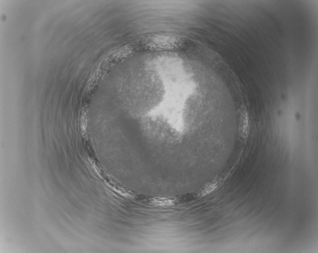 X0000051260701200507152216