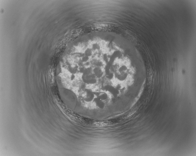 X0000051260703200507152216