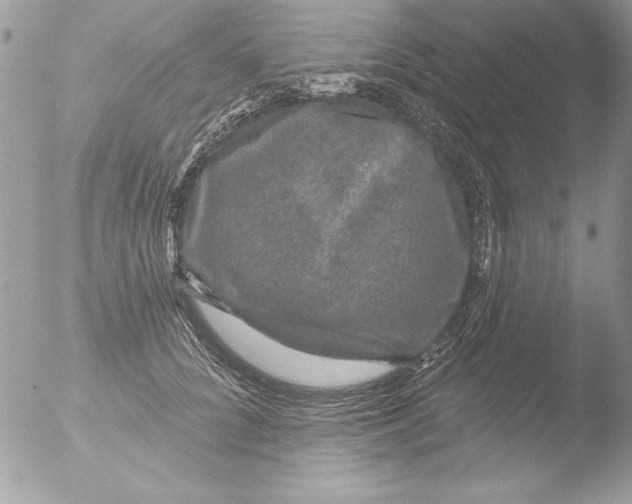 X0000051260704200507152216